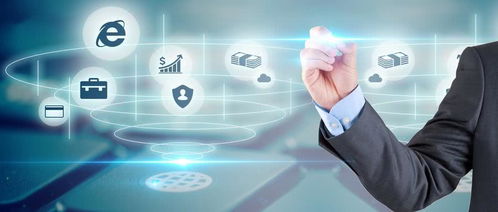 軟件開(kāi)發(fā)和咨詢(xún)以及管理高收入人群稅收籌劃